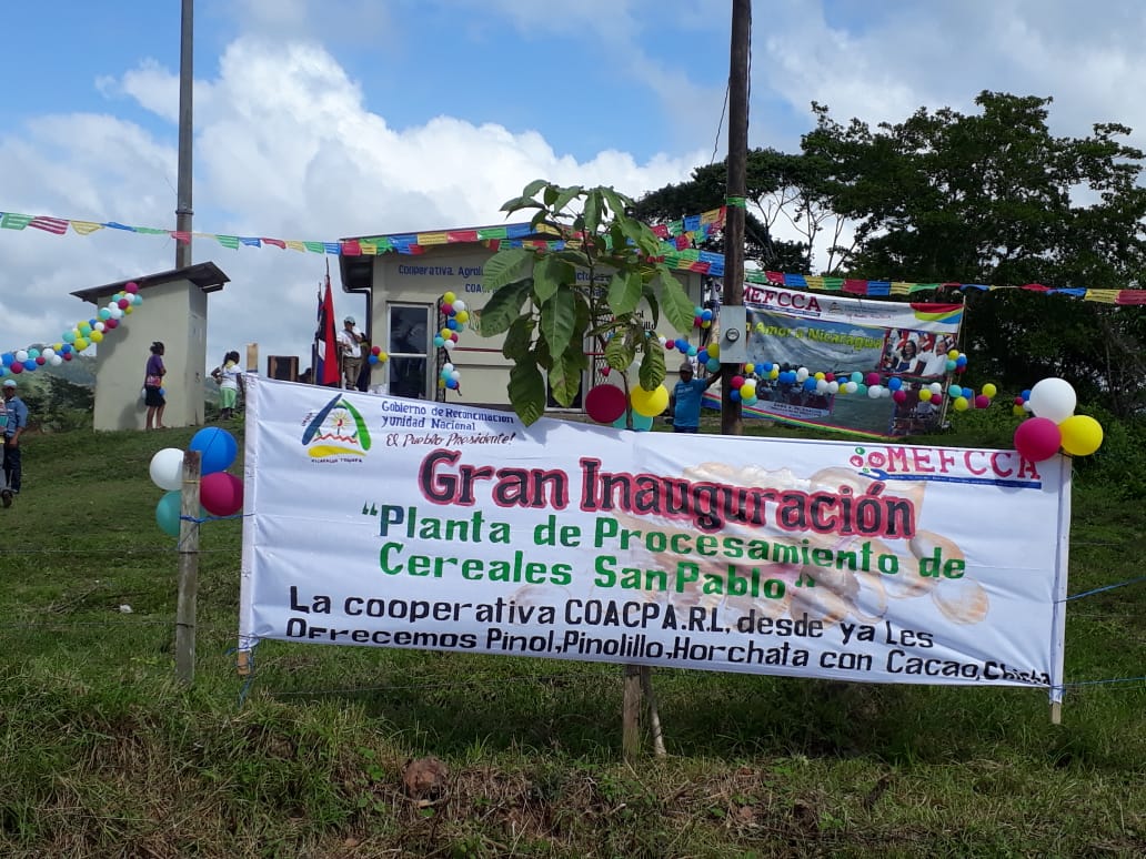 planta